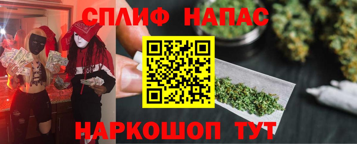Канабис OG Kush Каспийск